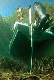 Learn More about the ALL NEW Minn-Kota TALON™